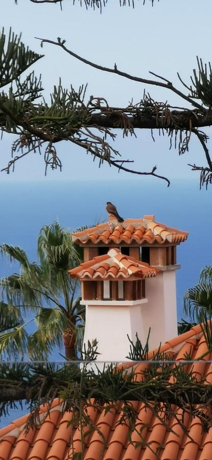 Casa Moja - La Palma Vila Tazacorte Exterior foto